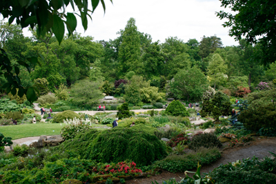 Gartenreise nach Wisley, Südengland, Foto Anita Arneitz