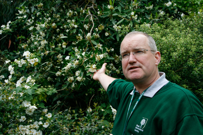 2 Wisley_Markus Redscheit einer von drei Gartenmanager (19)