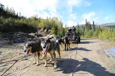 Alaska Roadtrip, Sehenswürdigkeiten und Tipps im Blog, Foto Anita Arneitz