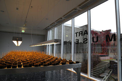 Lillehammer_Kunstmuseum (9)