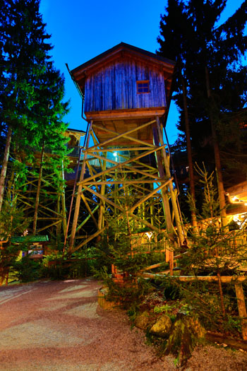 Baumkronenweg, Oberösterreich, Ausflugstipp, www.anitaaufreisen.at, Foto Matthias Eichinger