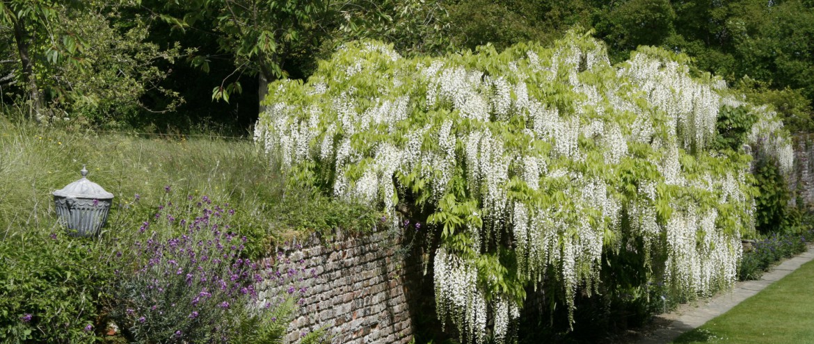 Sissinghurst Castle, englische Gärten, www.anitaaufreisen.at