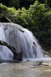 Wasserfaelle, Jamaika, Foto Matthias Eichinger