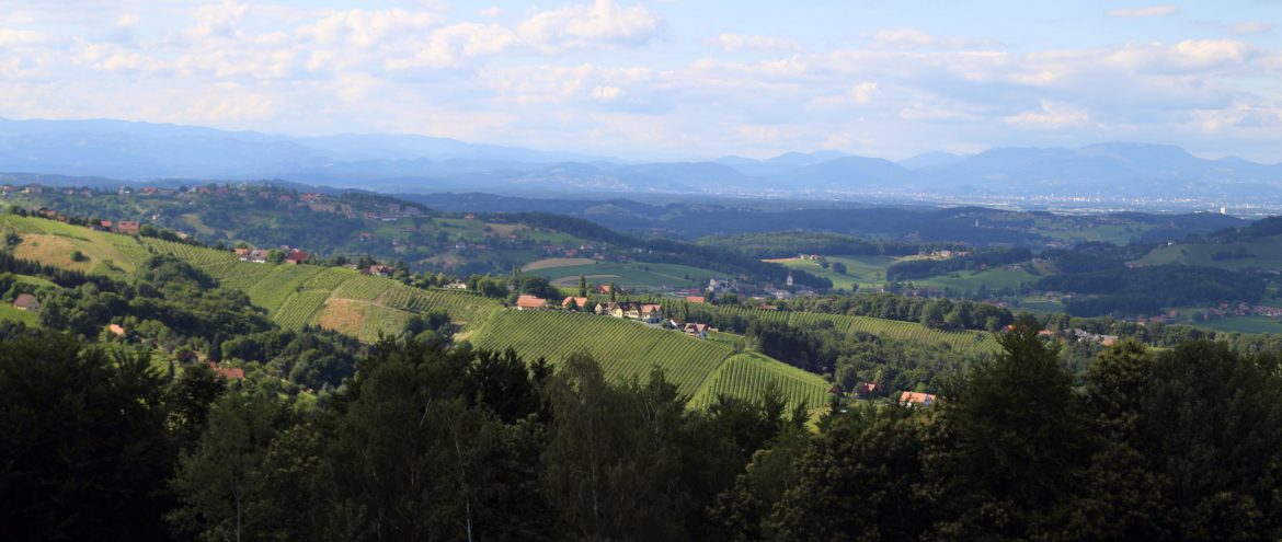 Bioweingut Warga-Hack, Sulmtal-Sausal, Steiermark, www.anitaaufreisen.at