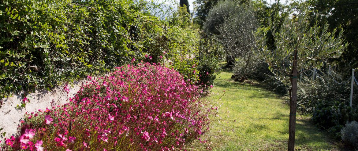 Privatgarten Cecilia Residori Casa Biasi, Gardasee, Gartenreisen, www.anitaaufreisen.at