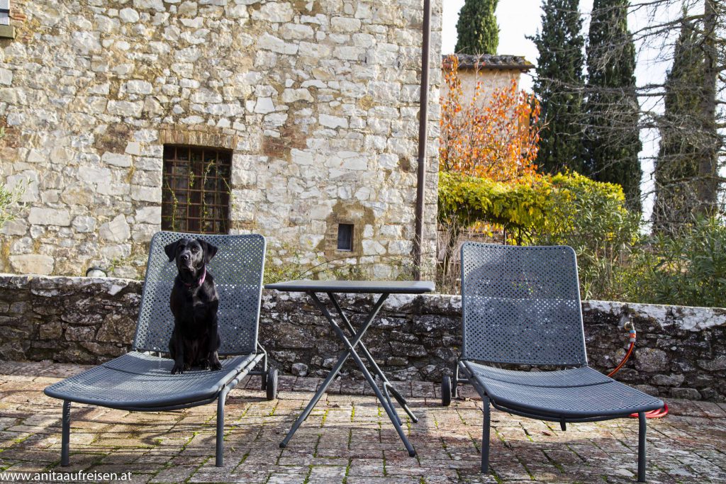 Urlaub mit Hund in der Toskana, Montebuoni, www.anitaaufreisen.at