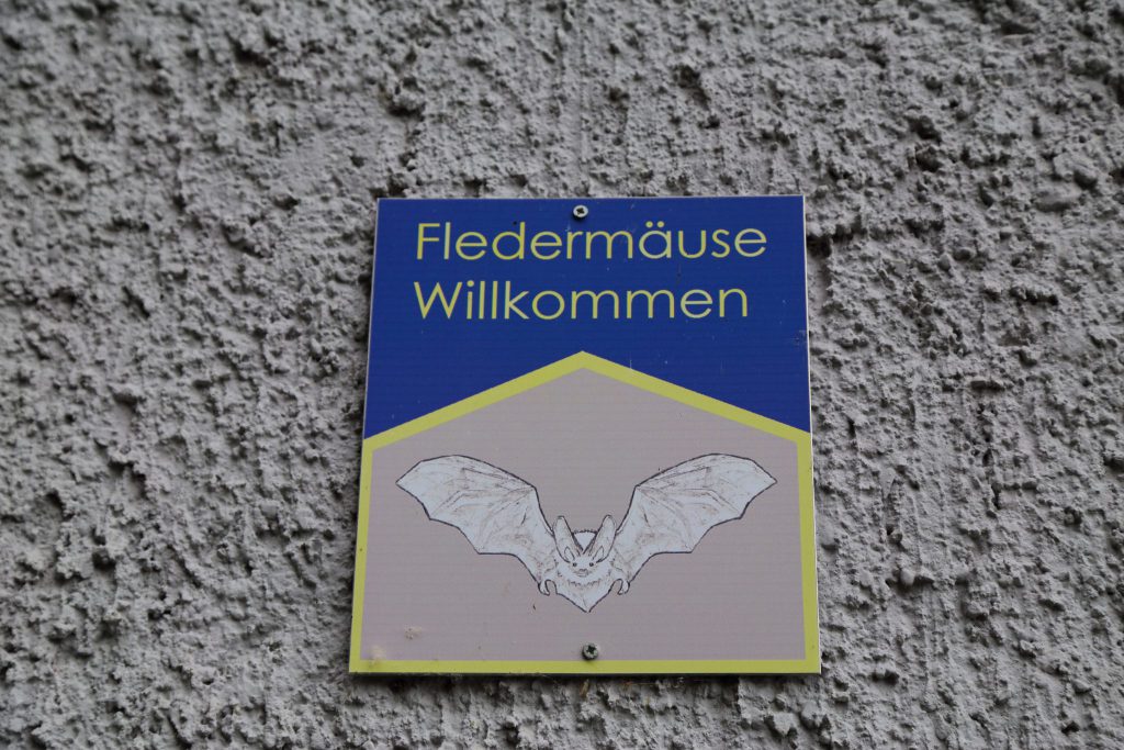 Fledermaushaus, Feistritz an der Gail, Kärnten, Foto Anita Arneitz, www.anitaaufreisen.at