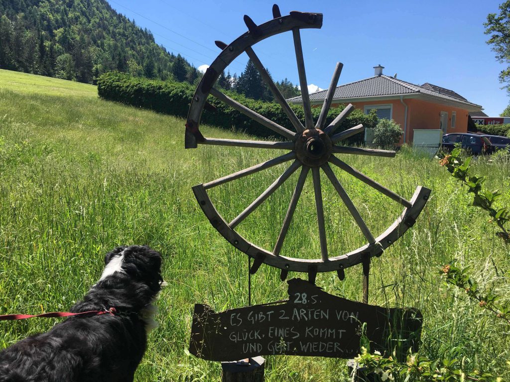 Wanderung, Kathreinkogel, Foto Matthias Eichinger, Schiefling, Kärnten, www.anitaaufreisen.at