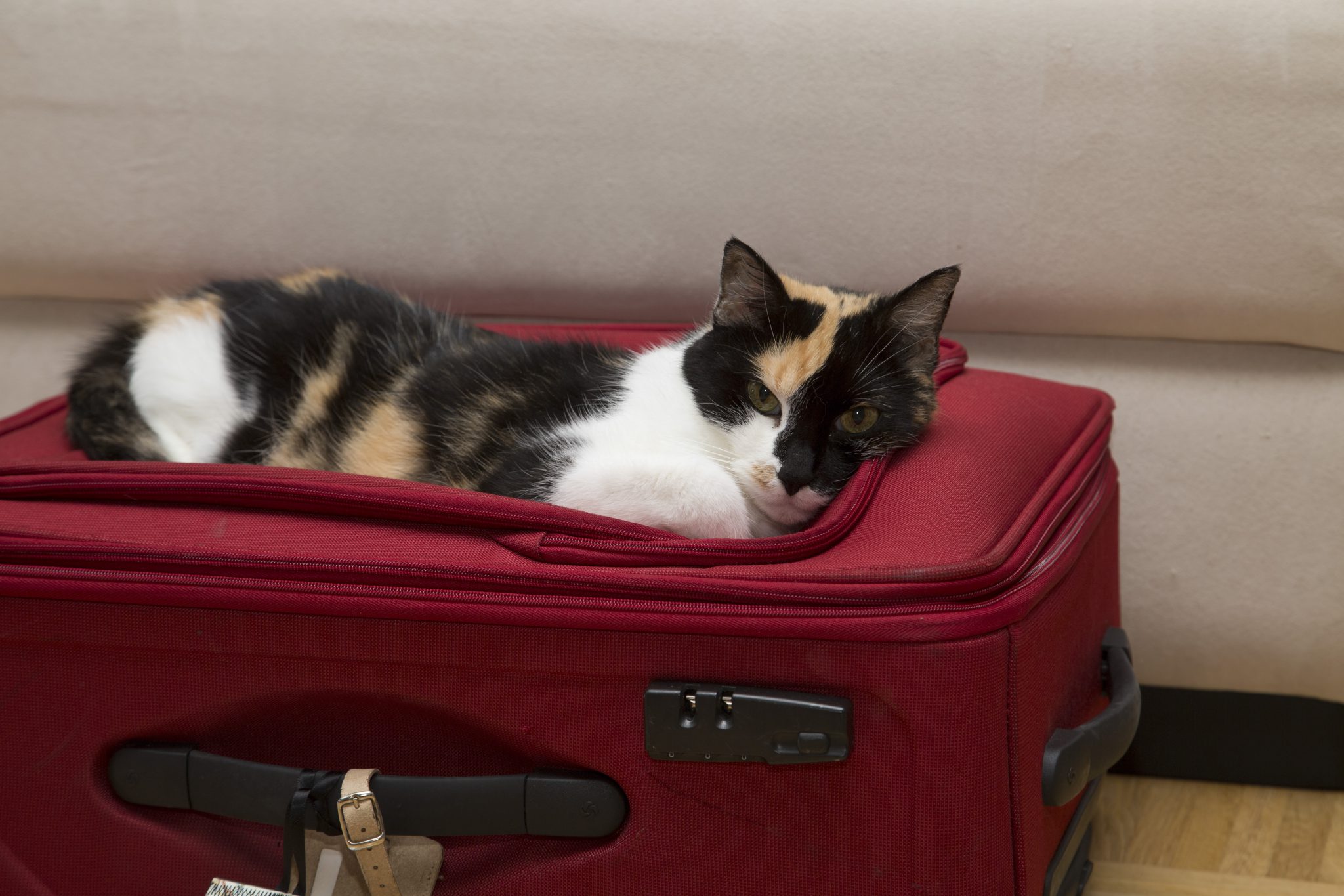 Tipps zum Kofferpacken: 5 praktische Gadgets fürs Gepäck - Business Insider
