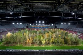 For Forest im Wörthersee Stadion in Klagenfurt, Foto Matthias Eichinger, Tipps fürs Waldbaden in Kärnten
