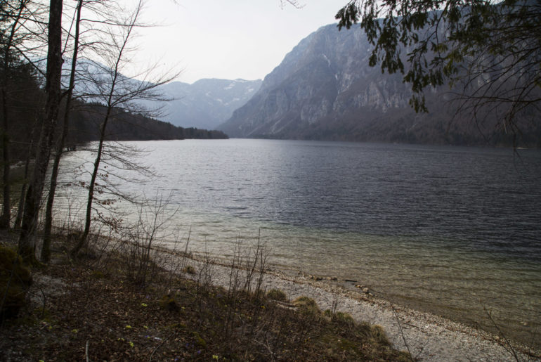 Bohinj See in Slowenien