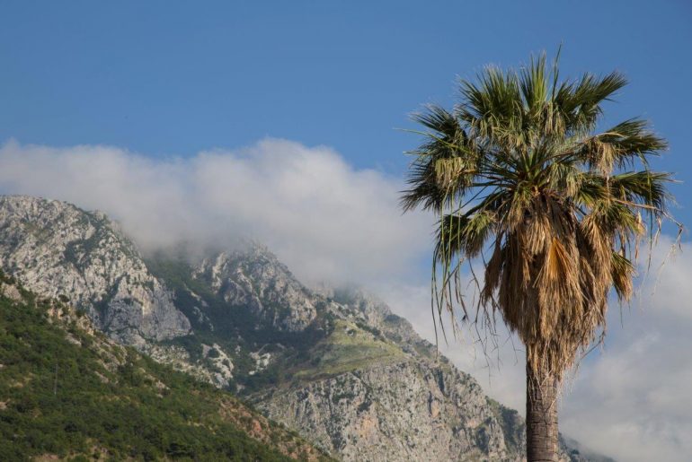 Montenegro Urlaub, Reisetipps, Kotor, Foto Anita Arneitz