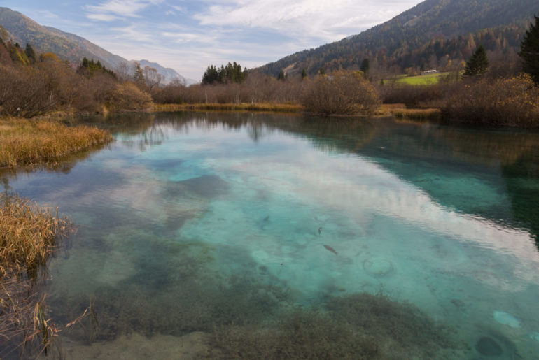 Zelenci in Slowenien