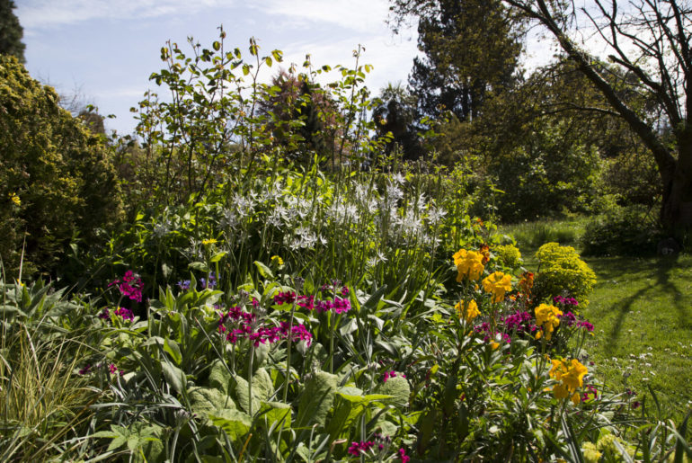 Gartenreise Irland