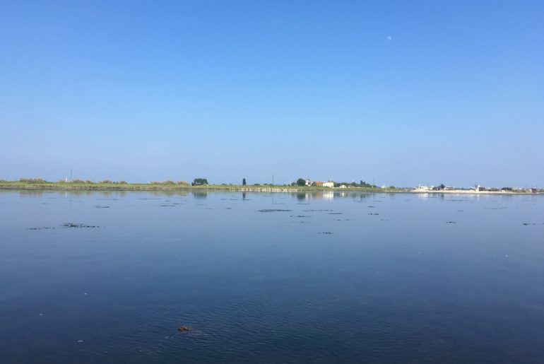 Valli di Comacchio