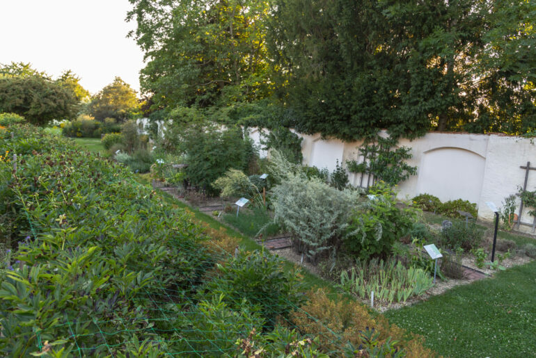 Kräutergarten Stift Seitenstetten